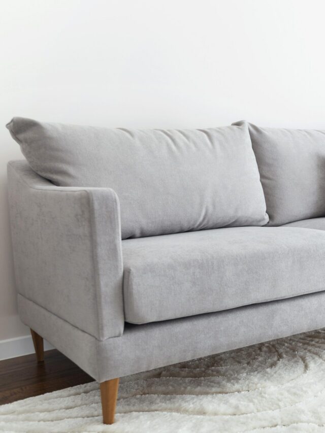 Furniture and Carpet